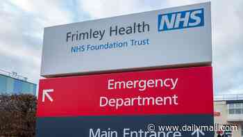 Nurse who made almost £20,000 logging shifts she did not work is struck off