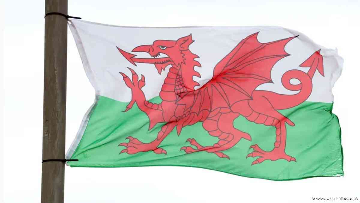 Campaigners demand removal of Welsh flags from lampposts