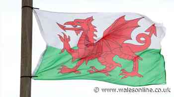 Campaigners demand removal of Welsh flags from lampposts