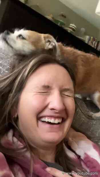 Woman Rescues A Tiny Dog During Her Work Commute | The Dodo