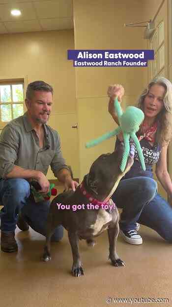 Matt Damon’s Wife Let Him Go On His First Date In 23 Years | The Dodo