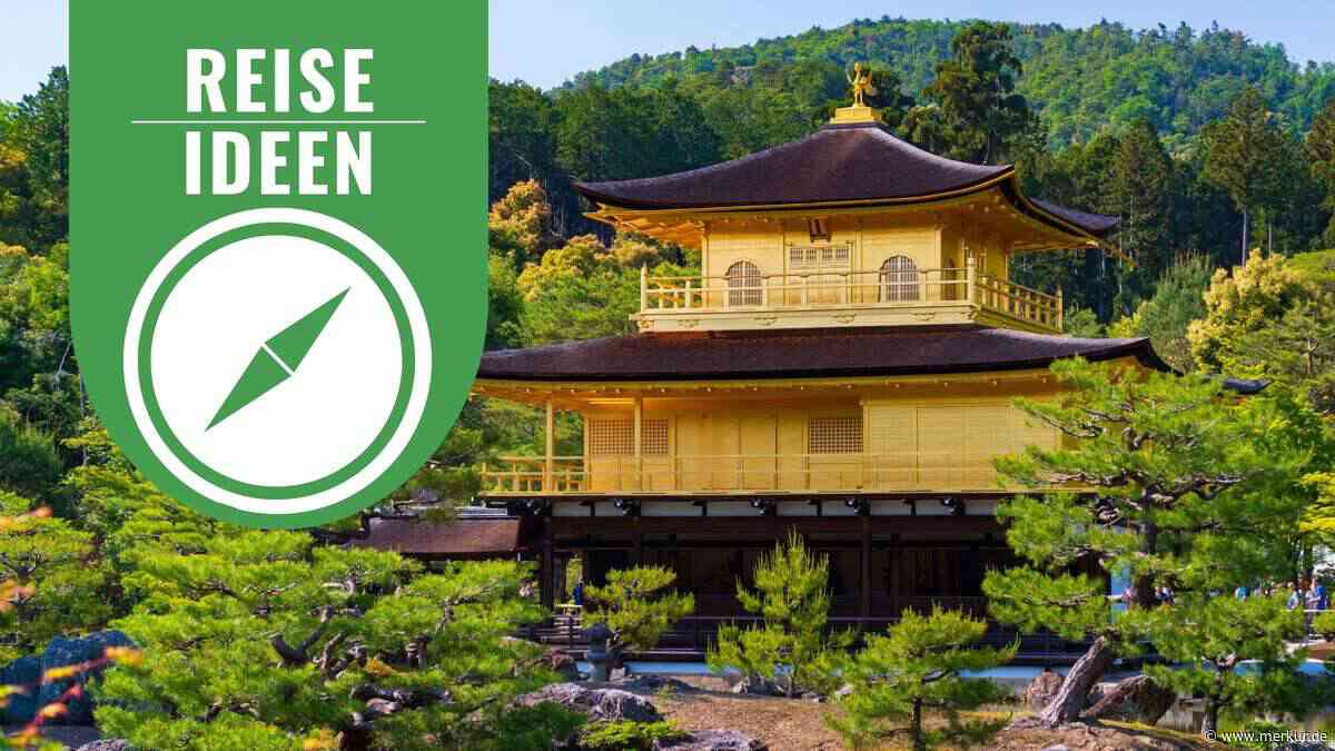 Japan-Reise planen mit der „Goldenen Route“ – Tokio, Fuji, Kyoto und Osaka in einer Tour