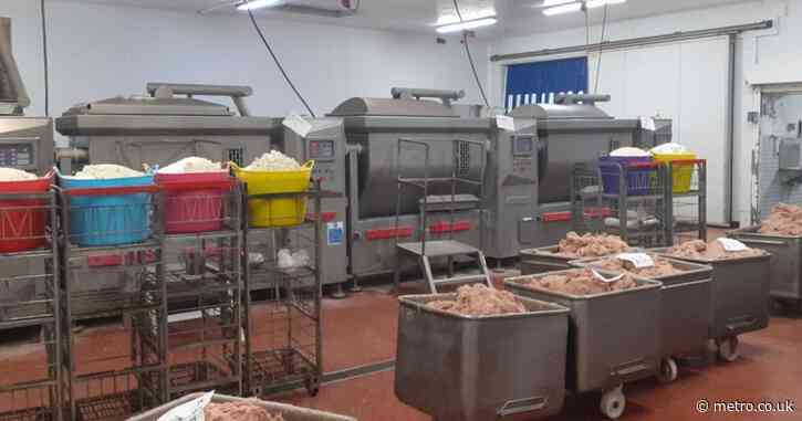 ‘Award winning’ kebab company fined £500k after what ‘lamb doner’ was actually made of revealed