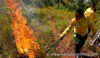In Brazil's Cerrado region, Indigenous fire practices reshape wildfire strategy