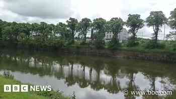 Why are 7,000 people fighting to save 'royal' lime trees?