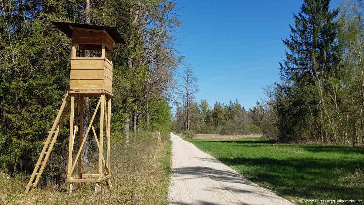 Kiefern im Süden, Mischwald im Norden – Augsburgs grüne Oasen könnten kaum gegensätzlicher sein