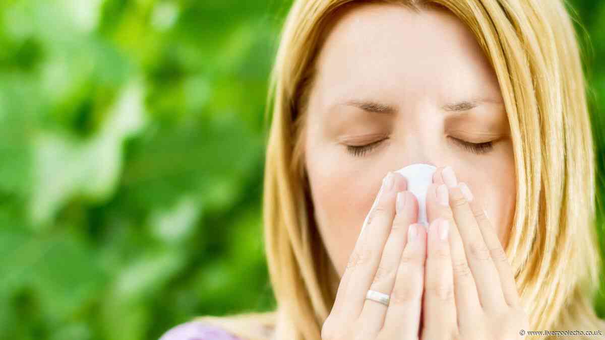 Hay fever sufferers could be helped by simple household item under £2