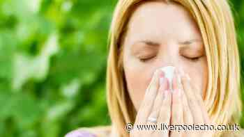 Hay fever sufferers could be helped by simple household item under £2