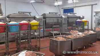 Kebab company fined £500,000 for selling meat that 'contained little actual lamb'