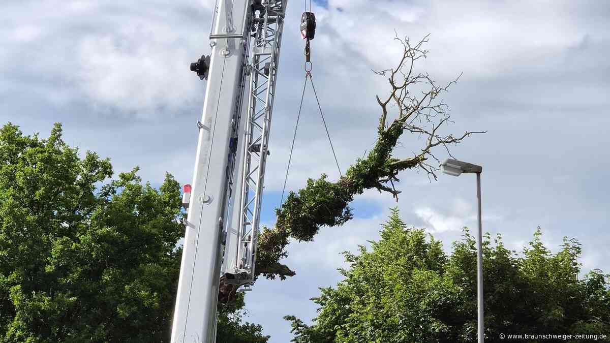 „Gefahr im Verzug“: Baum kracht in Wolfsburg auf Hausdach und löst Einsatz aus