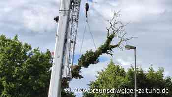 „Gefahr im Verzug“: Baum kracht in Wolfsburg auf Hausdach und löst Einsatz aus