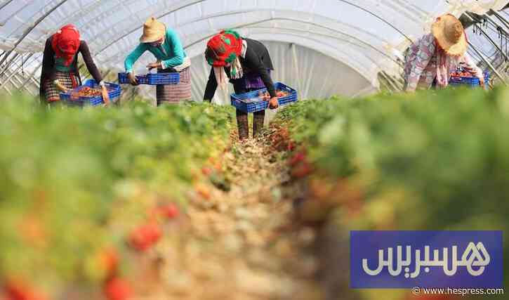 نقابة فلاحية تدق ناقوس الخطر بعد وفاة عاملة موسمية مغربية في إسبانيا
