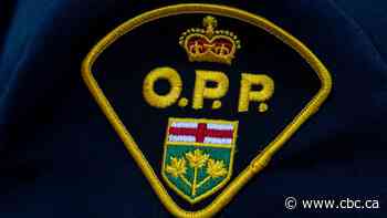 3 dead after car and 4 motorcycles crash in Kawartha Lakes, Ont., police say