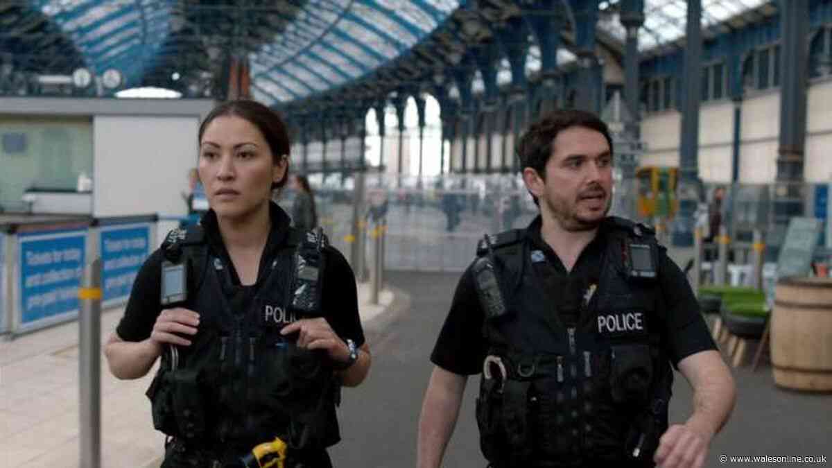 Welsh actor's 'excellent' Netflix drama is 'best British police series ever'