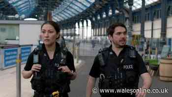 Welsh actor's 'excellent' Netflix drama is 'best British police series ever'