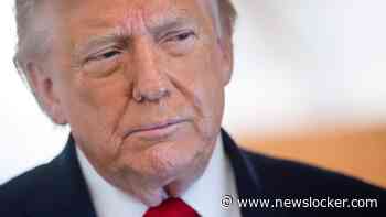 Trump loopt weg bij interview na kritische vraag over fraude: ’Ik heb er genoeg van’