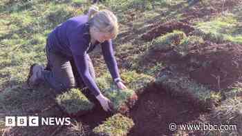 Devon gardens wanted to 'uncover local history'