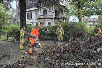 Brandweer ruimt afgebroken tak op
