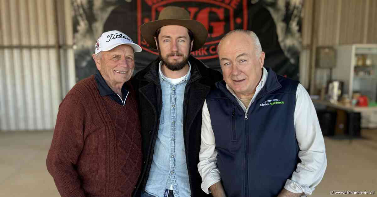The 720c/kg cattle target: 'trifecta' of global shortages to fuel beef boom