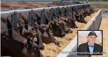 Feedlot success starts at home: how to prepare cattle to maximise profit