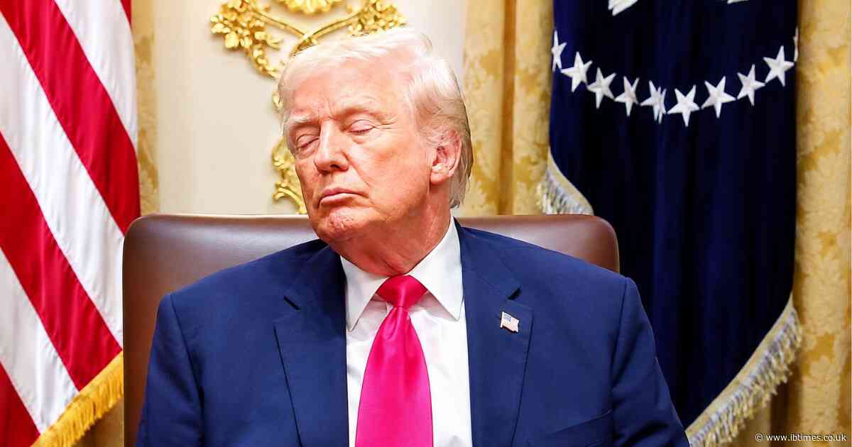 Trump Niece Warns MAGA Enablers Will Abandon President After Exposing Bottomless Family Con on New Podcast
