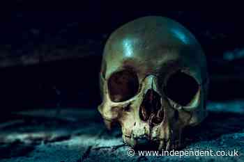 Mystery deepens after human skull discovered at Florida thrift store. It’s not the first time
