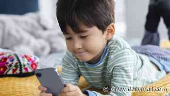 Parents could be warned against buying a mobile phone for their children until they start secondary school