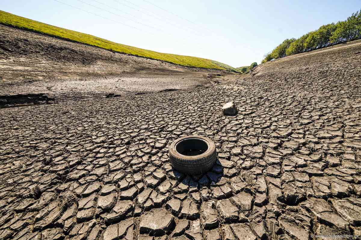 The UK food imports most at risk from ‘El Nino’ heat stress this summer