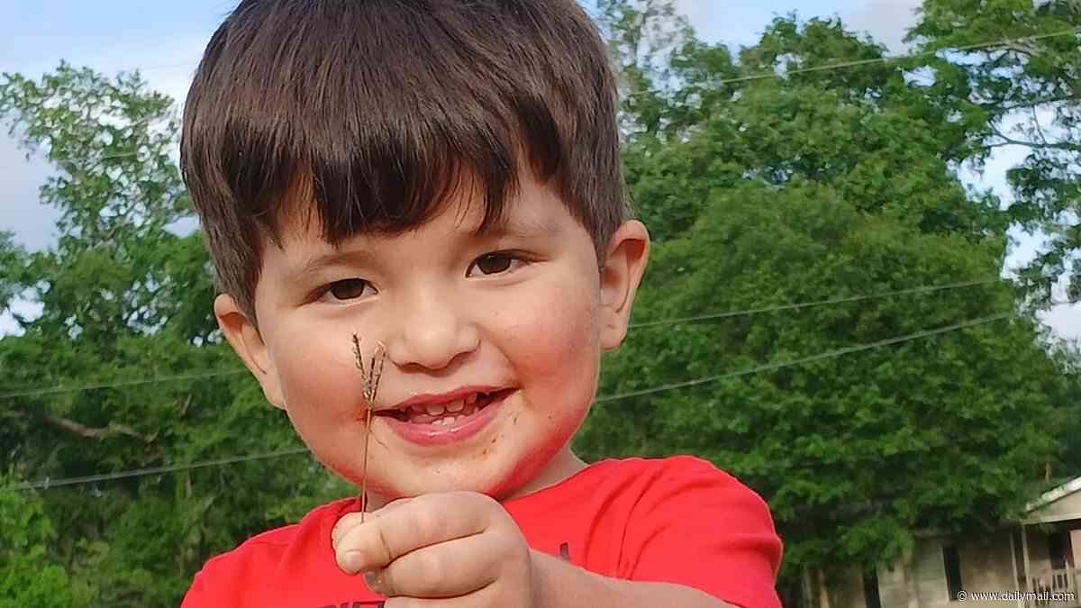Tragedy as boy, 3, dies from drowning after 'lying unconscious in pool for 20 minutes before babysitter realized'