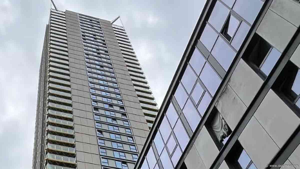 Revealed: Family of three who plunged 400ft from 36th floor of a London tower block to their deaths were wealthy - and lived in luxury apartment