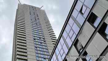 Revealed: Family of three who plunged 400ft from 36th floor of a London tower block to their deaths were wealthy - and lived in luxury apartment