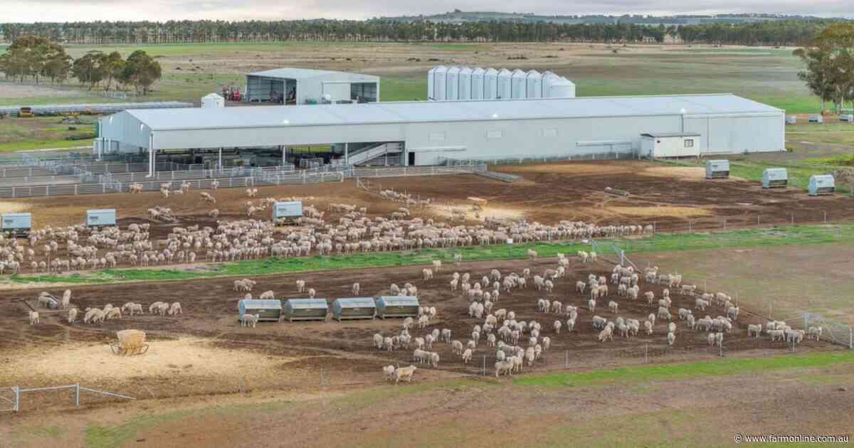 Highly developed livestock breeding and backgrounding operation | Photos