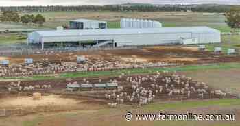 Highly developed livestock breeding and backgrounding operation | Photos