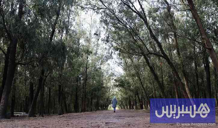 خبراء يرصدون المكاسب البيئية وتحديات المرحلة المقبلة في المغرب