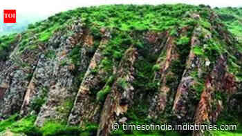 Aravali safeguard NCZ set to stay in NCR Plan 2041 after years of debate