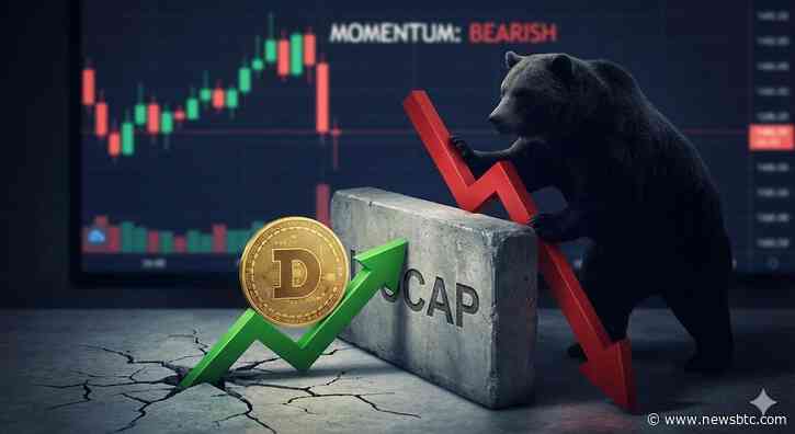 Dogecoin (DOGE) Stages A Recovery Attempt After A Brutal Selloff
