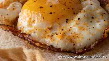 Fried eggs are better if you ditch olive oil and butter for 1 simple ingredient chef uses