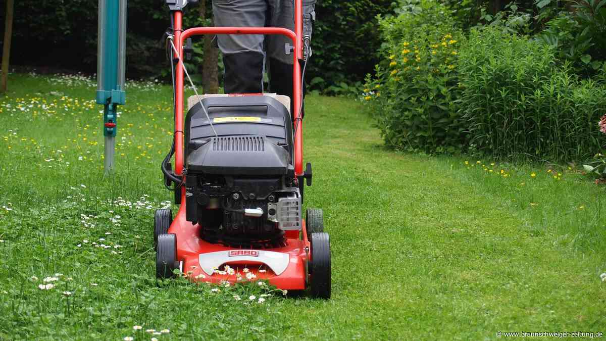 Rasenmähen an Pfingsten? Was in Osterode erlaubt ist – und was nicht