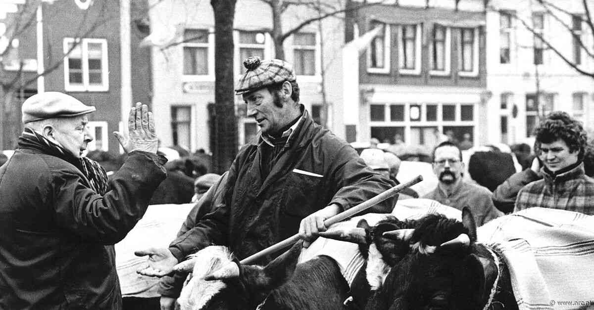 De (hoge?) prijs van politieke principes