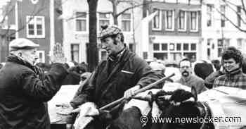 De (hoge?) prijs van politieke principes