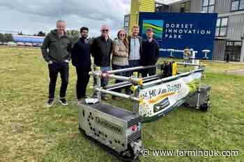 Smart robot set to tackle poisonous ragwort on Dorset farms