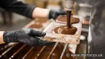 UK chocolate maker plunges into liquidation after winning multiple awards