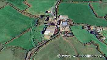 New water bottling plant within Welsh national park gets green light