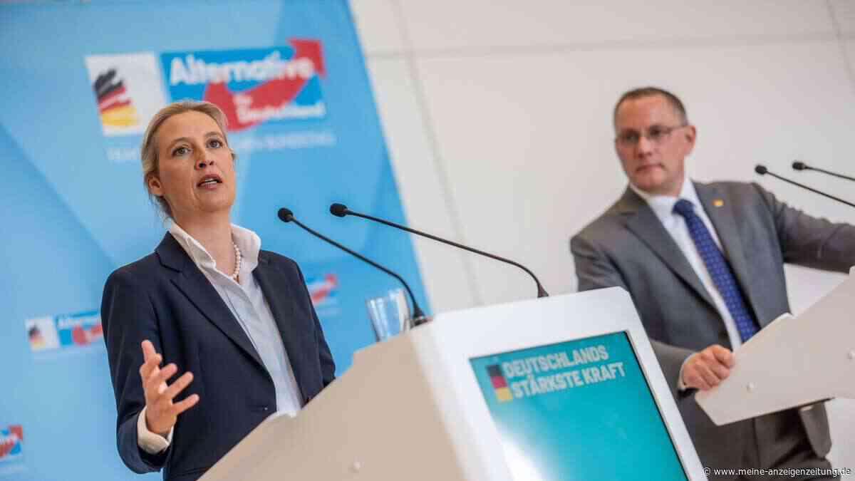 Brandbrief aus der AfD: Insider spricht von „sektenartigen Zuständen“ und „Beutegemeinschaft“