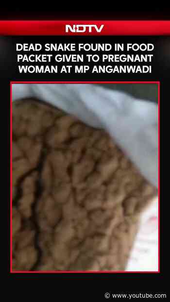 Dead Snake Found In Food Packet Given To Pregnant Woman At Madhya Pradesh Anganwadi Centre