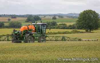Green campaigners urge ban on pre-harvest glyphosate use