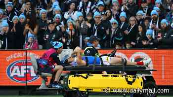 King's Birthday clash halted as Demons star Brody Mihocek is taken to hospital following sickening head injury