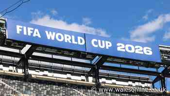 World Cup 2026 sweepstake online generator - select your teams here