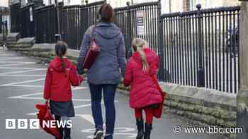 Pupils asked to walk to school through army firing range, MP claims