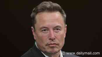 Elon Musk's grim warning Australia is 'disappearing' as new data shows birth rate dropping in concerning trend